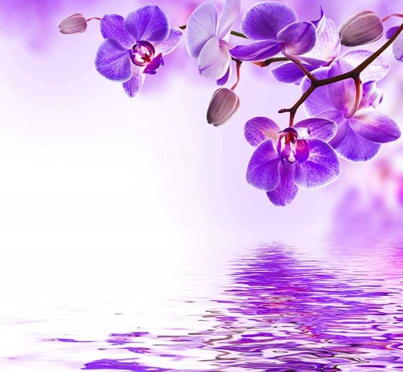 Плитка с рисунком на стену для кухни вариант №28 визуализация №2