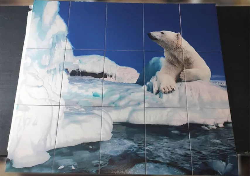 Плитка с фотопечатью в ванную АЙСБЕРГ БЕЛЫЙ МЕДВЕДЬ готовая плитка
