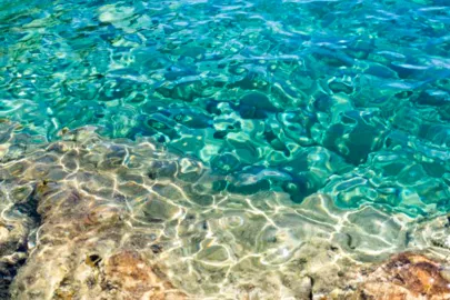 Обои для пола ЛАЗУРНАЯ ВОДА ПЕСОЧНОЕ ДНО