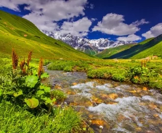 Фотообои на стену купить "Горы, трава, ручей"