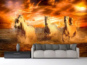 Фотообои на стену БЕЛЫЕ ЛОШАДИ КУПАЮТСЯ КРАСНЫЙ ЗАКАТ