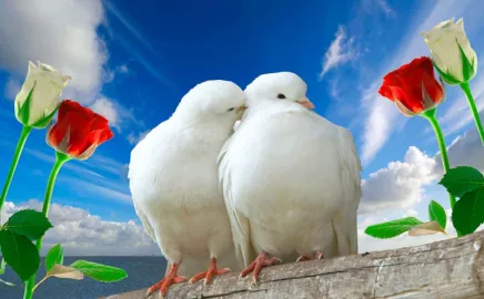 Плитка с фотопечатью в ванную ЛЮБОВЬ И ГОЛУБИ